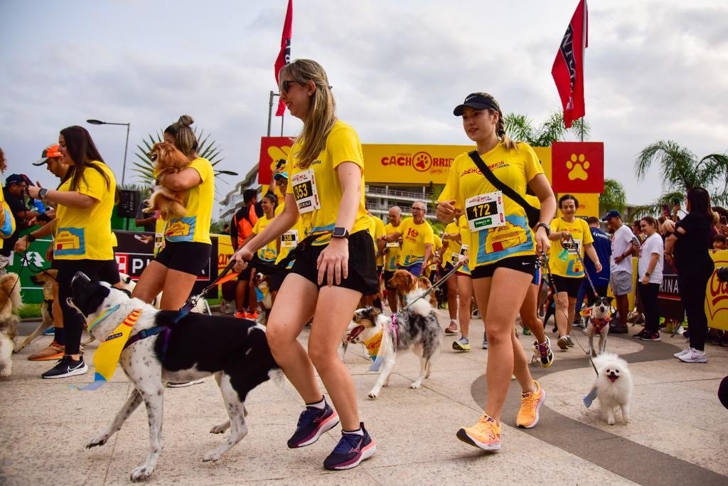 Cachorrida Garoto. Foto: Divulgação 